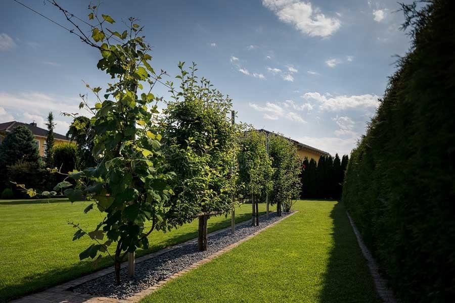 Garten (40)
