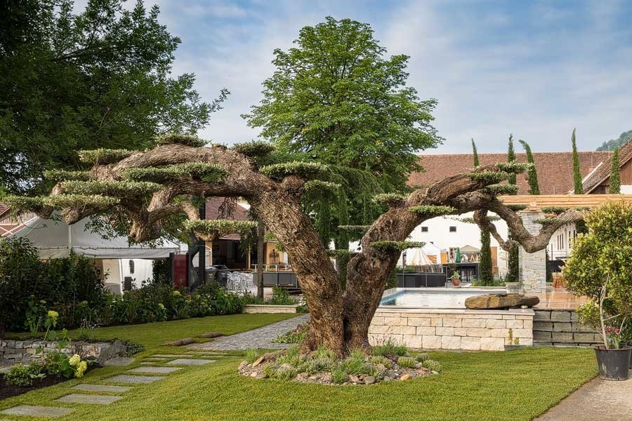 Garten (43)